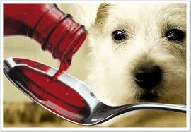 liquid feed supplements1